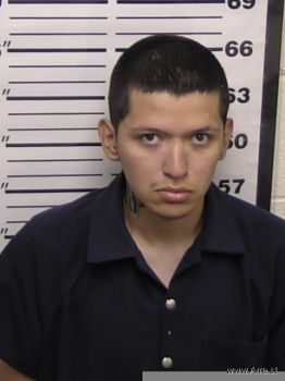 Gabriel  Perez Mugshot