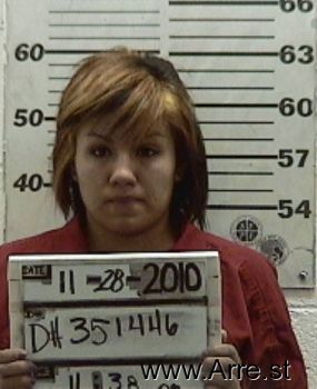 Gabriela  Castillo Mugshot