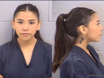 Gabrielle Tiara Howard Mugshot