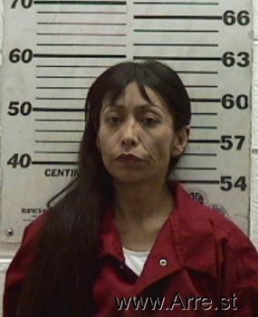 Gaylene  Sanchez Mugshot