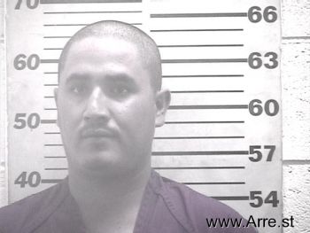 Guadalupe  Gonzalez-ortiz Mugshot