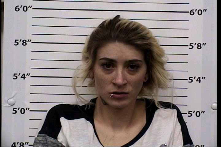 Holly Ann Johnson Mugshot