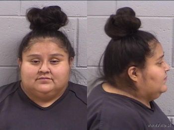 Heather Nicole Tsosie Mugshot