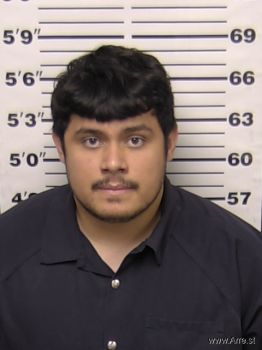 Henry  Cruz Mugshot