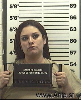 Holly K Sanchez Mugshot