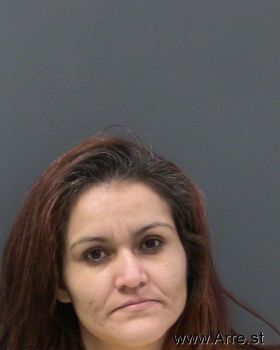 Iris Nmn Castro Mugshot