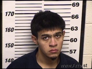 Ivan  Fierro Mugshot