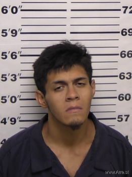 Ivan  Fierro Mugshot