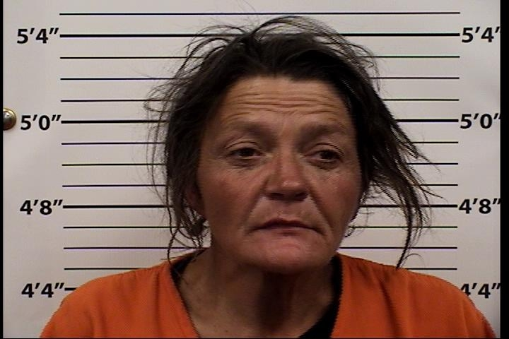 Jennifer Dawn Rice Mugshot