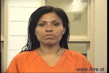 Jessica Marisol Sanchez Mugshot