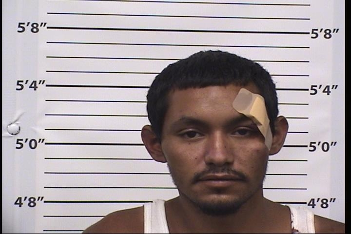 Johnny  Flores Mugshot