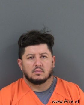 Jairo Guillermo Flores-navarro Mugshot