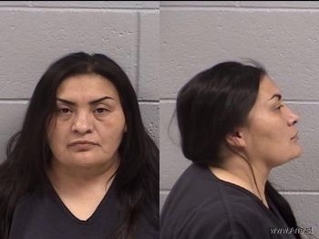 Janice Ann Jay Mugshot