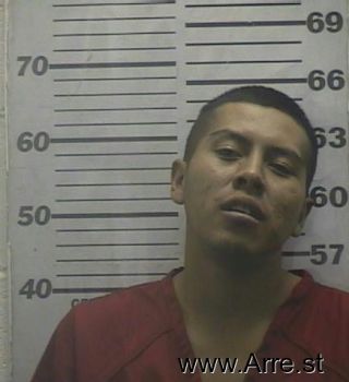 Jason  Browning Mugshot