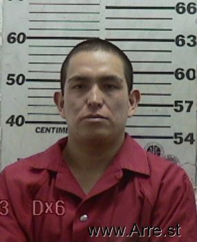 Jason  Tapia-hena Mugshot