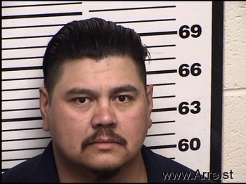 Javier F Gomez Mugshot