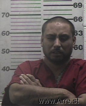 Javier  Molina Mugshot