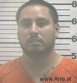 Javier  Molina Mugshot