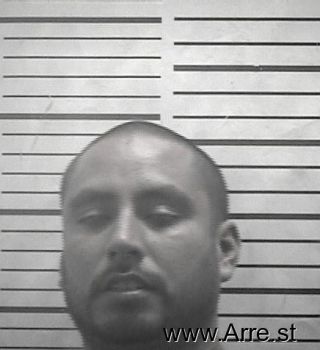 Javier  Molina Mugshot