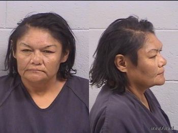 Jeannett  Johnson Mugshot