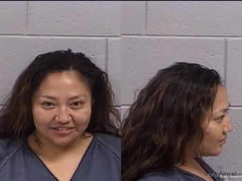 Jerricah Anne Domingo Mugshot