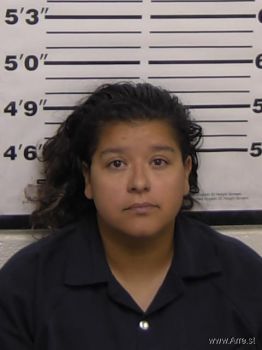 Jessica Marie Hill Mugshot