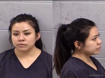 Jessica Sue Lee Mugshot