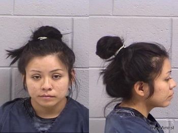 Jessica Sue Lee Mugshot