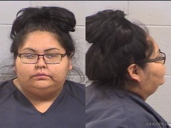 Jessica Nicole Nelson Mugshot