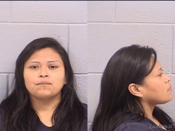 Jessica Joni Phillips Mugshot