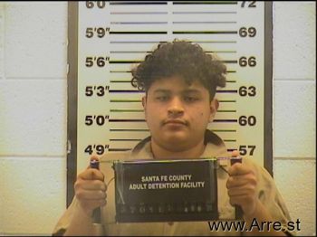 Jesus Alberto Medina-pizano Mugshot