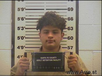 Jesus Alberto Medina-pizano Mugshot