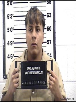 Jesus Rodolfo Portillo Mugshot