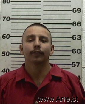 Joe  Gallegos Mugshot