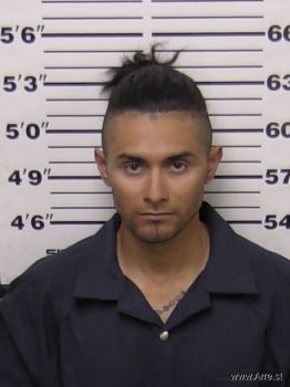 Joel Antonio Herrera Olmos Mugshot