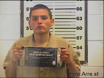 Johnathan  Castillo Mugshot