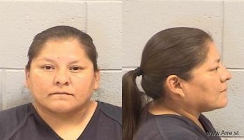 Johnna Thedora Begay Mugshot