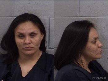 Jolene Rose Titus Mugshot