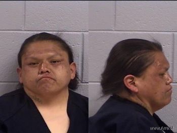 Jolina  Tsosie Mugshot