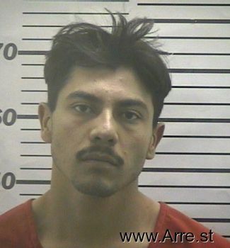 Jorge  Dominguez-martinez Mugshot