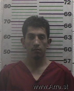 Jose  Gallegos-nieves Mugshot