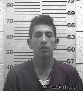 Jose  Gallegos-nieves Mugshot