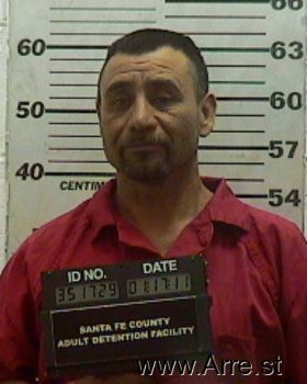 Jose Lorenzo Ponce-gallegos Mugshot