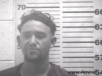 Jose Luis Quiroz-villalba Mugshot