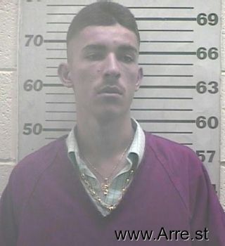 Jose  Valles-chavira Mugshot