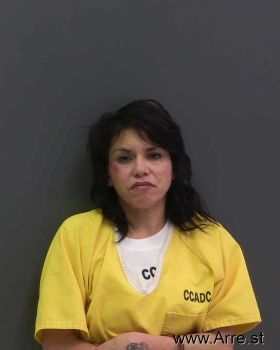 Josett Nmn Anaya Mugshot