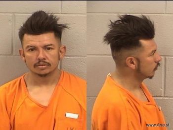 Joshua Manny Watkins Mugshot