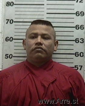 Juan Carlos Ortiz-vivanco Mugshot