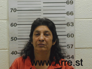 Juanita  Chavez Mugshot