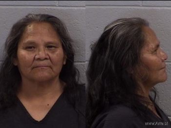 Juanita Ann Ramer Mugshot